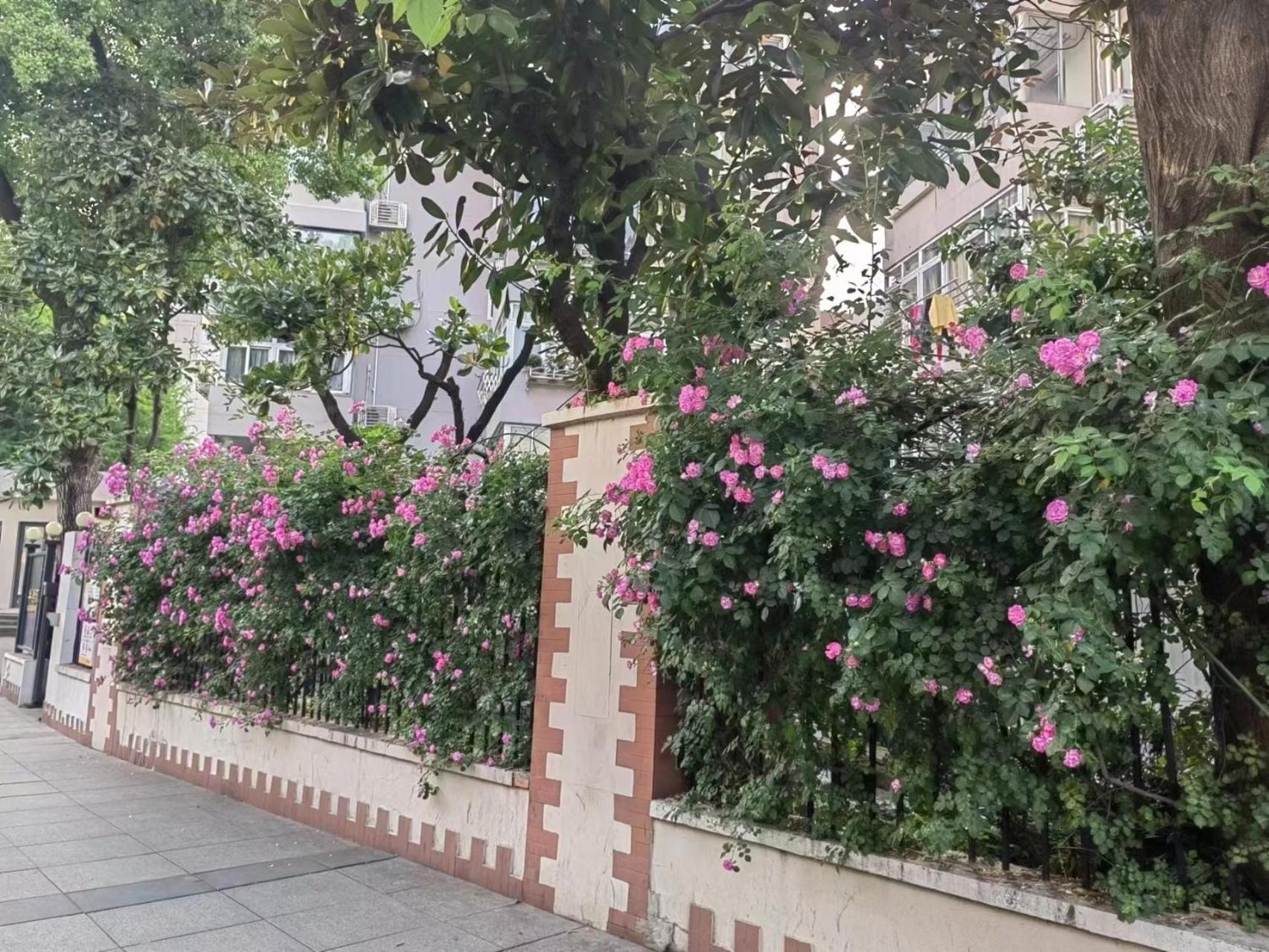 Historical Art With Garden Courtyard Near Nanjing Road Căn hộ Thượng Hải